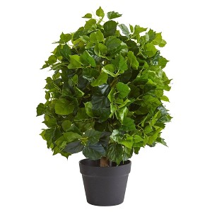 Nearly Natural 2-ft Ficus Artificial Tree - 1 of 1