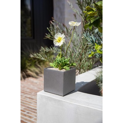 Geo Series 5" Gray Concrete Composite Cube Planter