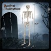 Costway 5.4 FT Halloween Skeleton Decoration Life Size Large Skeleton with Posable Joints 64.5 Inches Ivory White - 3 of 4