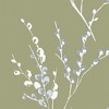 Laura Ashley Willow Moss Green Wallpaper - 4 of 4