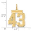 Black Bow Jewelry 14k Yellow Gold, Jersey Collection, Medium Number 43 Pendant - 2 of 3