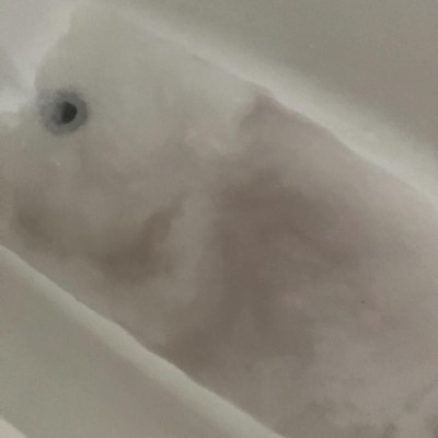 Guest review image 1 of 1, zoom in