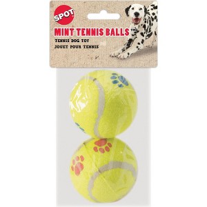 Spot Paw Print Tennis Balls - 1 of 1