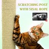 Multipet 71 inch Flower Cat Tree with Large Condo, Removable Flower Cushion and Hammock - 4 of 4