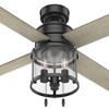 Hunter Fans Astwood 1 - Light in  Matte Black - 4 of 4