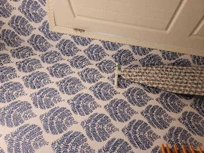 Guest review image 2 of 3, zoom in