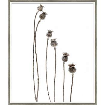 Last years flowering poppies by Lotte Gronkjar Wood Framed Wall Art Print 21 in. x 25 in. - Amanti Art