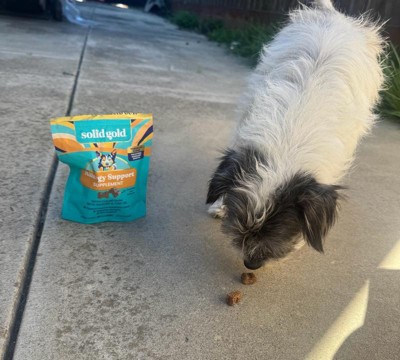 Guest review image 1 of 1, zoom in