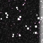 baltimore orioles 1966-1969