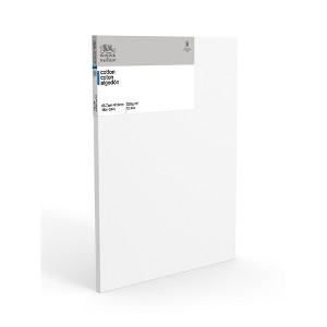 Winsor & Newton Professional Cotton Stretched Canvas Traditional - 1 of 1