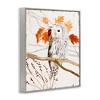 Stupell Industries Owl In Autumnal Forest Framed Giclee Art - 2 of 4