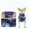 Unique Bargains Recovery Suit for Dogs Blue 1 Pc - 3 of 4