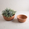 Set of 2 Natural Terracotta Bowls - Foreside Home & Garden - 2 of 4