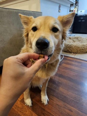 Guest review image 2 of 2, zoom in