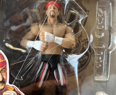 Wwe Legends Elite Terry Funk Action Figure : Target