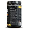 Sascha Fitness BCAA 4:1:1 with Glutamine, HMB, L-Carnitine, HICA | Natural Mango Coco Flavor 12.8 oz - 2 of 4