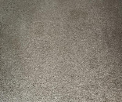 Guest review image 3 of 5, zoom in