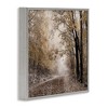 Stupell Industries Sunlit Woodland Nature Trail, 17" x 17" - 3 of 4