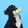 BARK Money Stack Doggo Doggo Bills Dog Toy - image 3 of 4