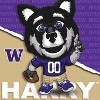 MasterPieces Officially Licensed NCAA - Washington Huskies Mascot 100 Piece Puzzle - 3 of 4