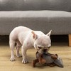 Itopfox Plush Dog Squeaky Toy Stuffed Armadillo Animal Pet Puppy Chew Toys for Small Medium Large All Breed Sizes Dogs, Gray - 4 of 4