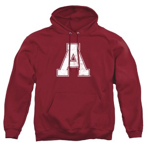 Alma College Official Distressed Primary Logo Adult Pull-Over Hoodie - 1 of 4