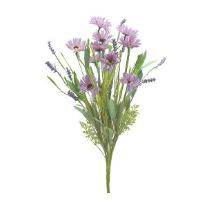 Melrose Mixed Daisy Bush (Set of 6) - 1 of 3