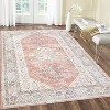 Vintage Area Rug, Low-Pile Ultra-Thin Stain Resistant Carpet with Non-Slip Backing for Living Room, Bedroom, Pet & Kid Friendly - 2 of 4
