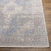 Hauteloom Akio Area Rug - 4 of 4