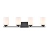 Millennium Lighting Durham 4 - Light Vanity in  Matte Black - 2 of 2