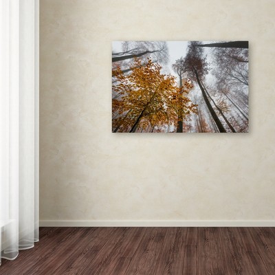 Daydreamer Autumn Forest Canvas Wall Art 30" x 47"