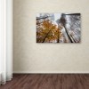 Trademark Fine Art -Philippe Sainte-Laudy 'Daydreamer' Canvas Art - 3 of 3