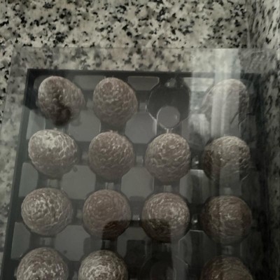 Guest review image 2 of 2, zoom in