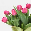 6" Potted Tulip - Good Little Garden™ - 3 of 3