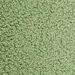 green-scratching tree