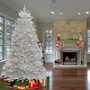 7.5ft National Christmas Tree Company Pre-Lit Dunhill Fir White Hinged Full Artificial Christmas Tree with 750 Clear Lights - 3 of 4