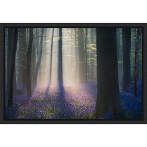Amanti Art Velvet Light by Adrian Popan Canvas Wall Art Print Framed 23-in. x 16-in. - 1 of 4