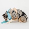 Dexypaws: Enrichment Lick Mat: Happy Bark Day, Grooved Dog Feeding Pad - 4 of 4
