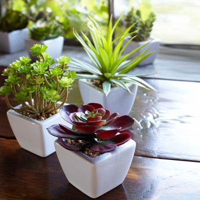 Set of 6 Small Green Plastic Potted Succulents