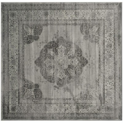 Vintage VTG158 Power Loomed Area Rug  - Safavieh