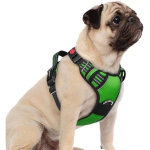 rabbitgoo Dog Harness Small Sized, No Pull Dog Vest  with Easy Control Handle and Reflective Strips, Green, S - 1 of 1