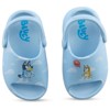 Bluey & Bingo Kids EVA Clog - Molded Open Toe EVA Clog for Boys & Girls Featuring, Bandit, Chilli & Bingo Shoes - 2 of 4
