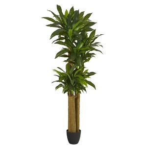 Nearly Natural 6-ft Corn Stalk Dracaena Artificial Plant (Real Touch) - 1 of 4