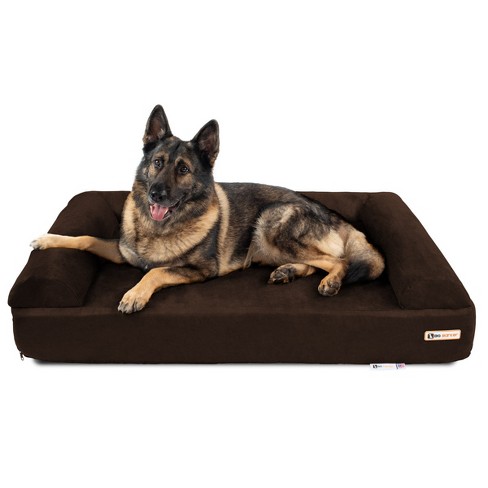 X large store dog beds