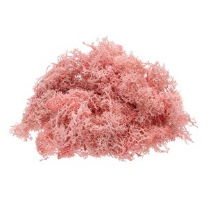 Unique Bargains Decoration Craft Artificial Plants Dried Preserved Reindeer Moss 4 OZ - 1 of 4