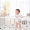 Sweet Jojo Designs Gender Neutral Unisex Baby Fitted Crib Sheet Outdoor Adventure Multicolor - 2 of 4