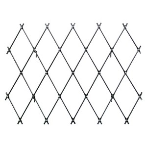 Achla Designs 43" Traditional Wall Mounted Lattice Iron Garden Trellis Graphite Powder Coat Finish: Corrosion-Resistant, Includes Hanging Hardware - 1 of 4
