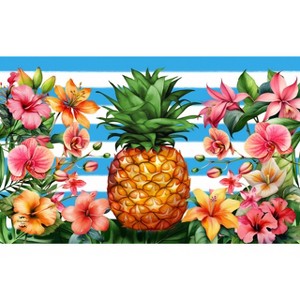 Briarwood Lane Everyday Doormat 30x18 Indoor Outdoor Pineapple and Stripes Doormat - 1 of 4