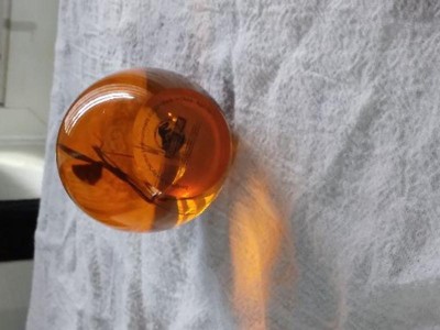 Surreal Entertainment Jurassic Park Mosquito In Amber Resin Paper ...