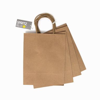 4pk Small Kraft Gift Bags Natural - Spritz™